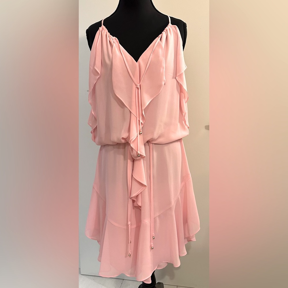 Gorgeous Laundry by Shelli Segal Pink Chiffon Ruffle Dress. Size 4.